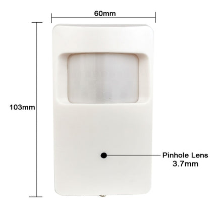 AlarmsysteemExpert.nl Bewegingsmelder IP camera (PIR), Full HD, Onvif, PoE